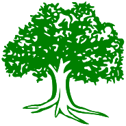 Nepali congress Lalitpur 1